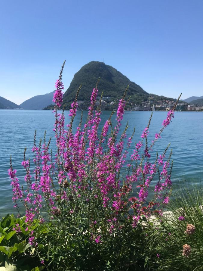 Connie S Home Free Parking Lugano Eksteriør billede